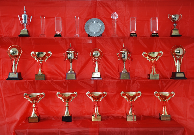 獎(jiǎng)杯展示