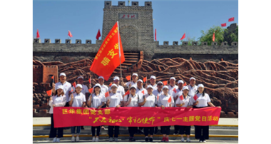 巨華支部七一黨建活動(dòng)